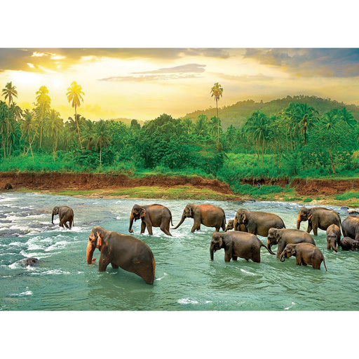 Rainforest 1000 Piece Jigsaw Puzzle Eurographics - for just $19.99! 