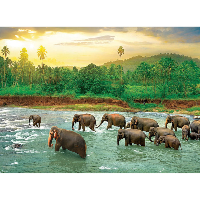Rainforest 1000 Piece Jigsaw Puzzle Eurographics - for just $19.99! 