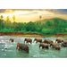 Rainforest 1000 Piece Jigsaw Puzzle Eurographics - for just $19.99! 