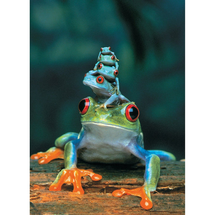 Red-Eyed Tree Frog 1000 Piece Jigsaw Puzzle Eurographics - for just $19.99! 