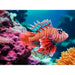 Red Lionfish 500 Piece Jigsaw Puzzle Ravensburger - for just $19.99! 