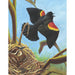 Red-winged Blackbird 100 Piece Mini Jigsaw Puzzle NYPC - for just $11.99! 