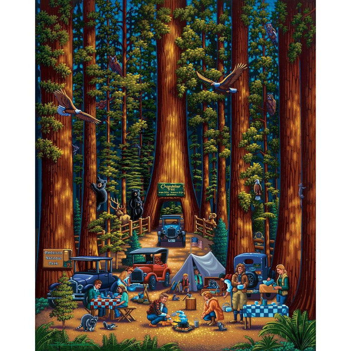 Redwood National Park 210 Piece Jigsaw Puzzle Dowdle - for just $11.99! 