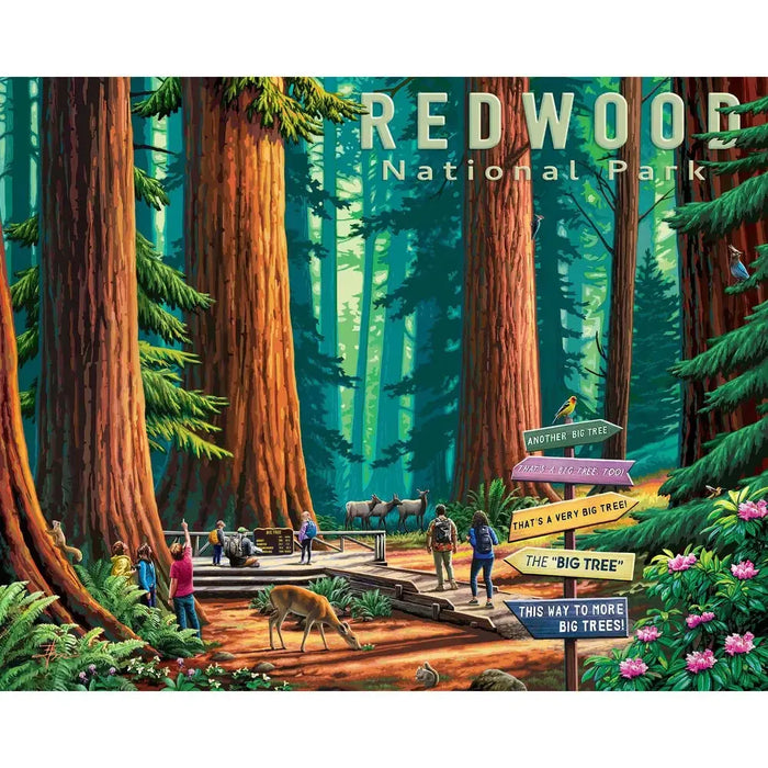 Redwood National Park 500 Piece Jigsaw Puzzle Boardwalk - for just $21.99! 