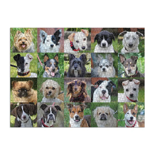 Rescue Dogs 1000 Piece Jigsaw Puzzle Galison - for just $19.99! 