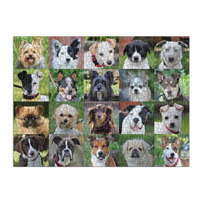 Rescue Dogs 1000 Piece Jigsaw Puzzle Galison - for just $19.99! 