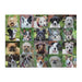 Rescue Dogs 1000 Piece Jigsaw Puzzle Galison - for just $19.99! 