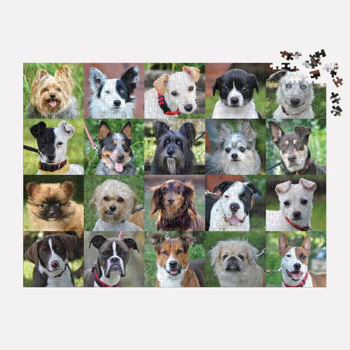 Rescue Dogs 1000 Piece Jigsaw Puzzle Galison - for just $19.99! 