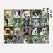Rescue Dogs 1000 Piece Jigsaw Puzzle Galison - for just $19.99! 
