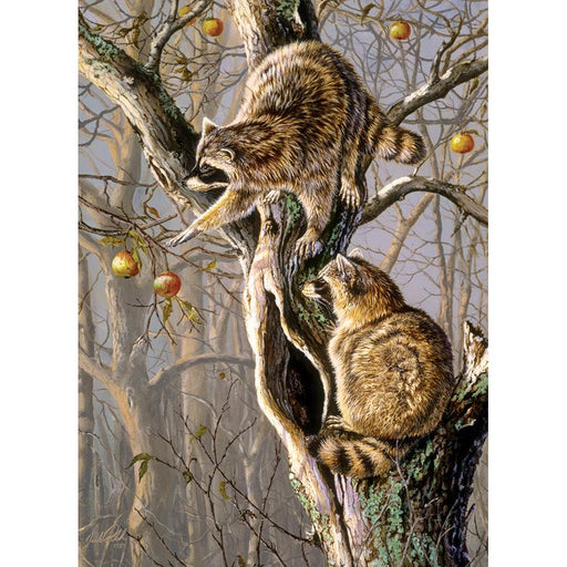 Ringtail Raiders 1000 Piece Jigsaw Puzzle Cobble Hill - for just $19.99! 