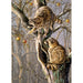 Ringtail Raiders 1000 Piece Jigsaw Puzzle Cobble Hill - for just $19.99! 