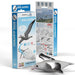 Royal Albatross 3D Cardboard Model Kit Eugy - for just $11.99! 