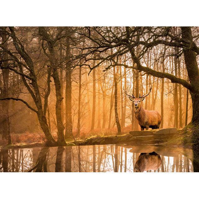 Rustling Silence "Peace Puzzle" 500 Piece Jigsaw Puzzle Clementoni - for just $19.99! 