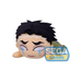 SEGA: Nesoberi Lay-Down Plush: Demon Slayer: Kimetsu no Yaiba - Gyomei Himejima (Tears) SP Plush - for just $29.99! 
