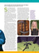 Minecraft - Unofficial Fan Guide: What's New & Coming Soon, Everything About The Movie Sequel, How To Survive Your First Week, An Explorer's Guide To The World, Essential Crafting Recipes & More! - for just $19.99! 