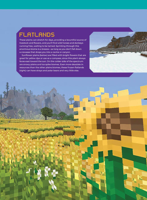 Minecraft - Unofficial Fan Guide: What's New & Coming Soon, Everything About The Movie Sequel, How To Survive Your First Week, An Explorer's Guide To The World, Essential Crafting Recipes & More! - for just $19.99! 