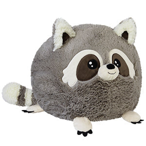 Squishable Baby Raccoon (Standard) - for just $46! 