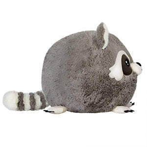 Squishable Baby Raccoon (Standard) - for just $46! 
