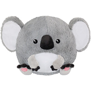 Squishable Baby Koala (Standard) - for just $46! 
