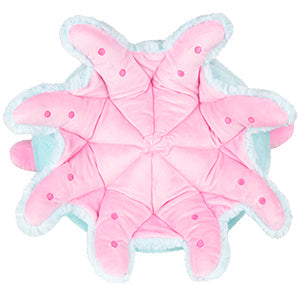 Squishable Dumbo Octopus (Standard) - for just $45! 