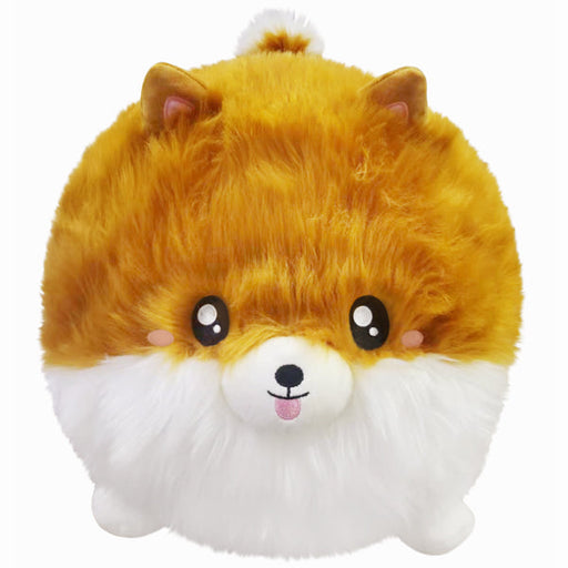 Squishable Pomeranian (Standard) - for just $45! 