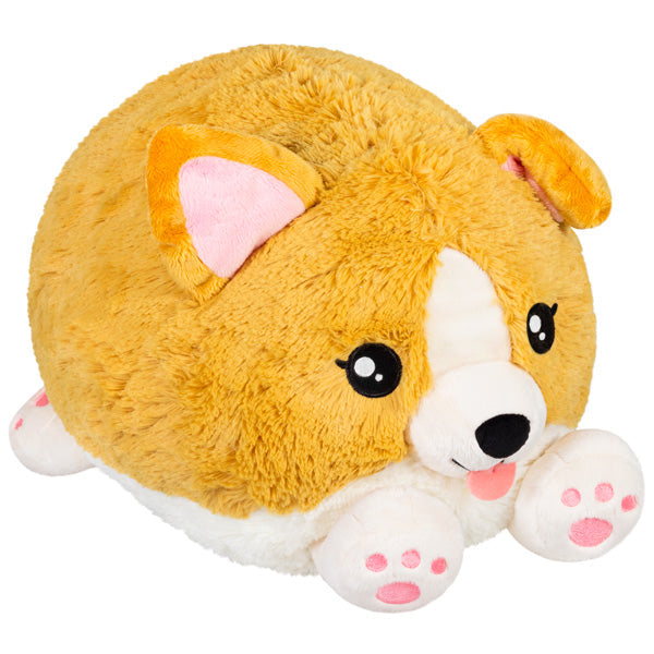 Squishable Baby Corgi (Standard) - for just $48! 