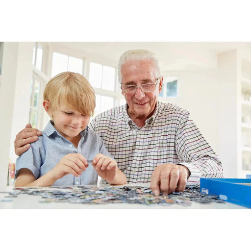 San Francisco Metropuzzle 1000 Piece Jigsaw Puzzle Geotoys - for just $19.99! 