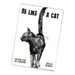 Be Like A Cat - for just $23.99! 