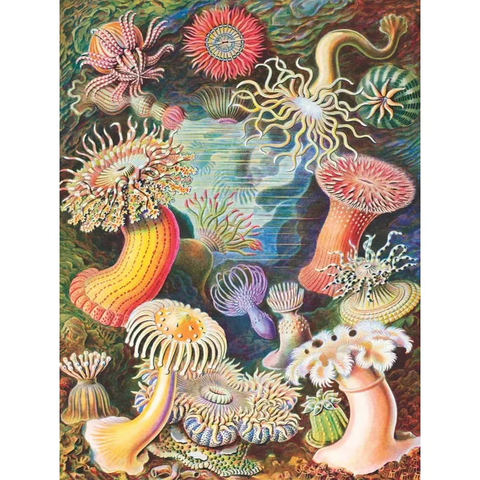 Sea Anemones 1000 Piece Jigsaw Puzzle NYPC - for just $28.99! 