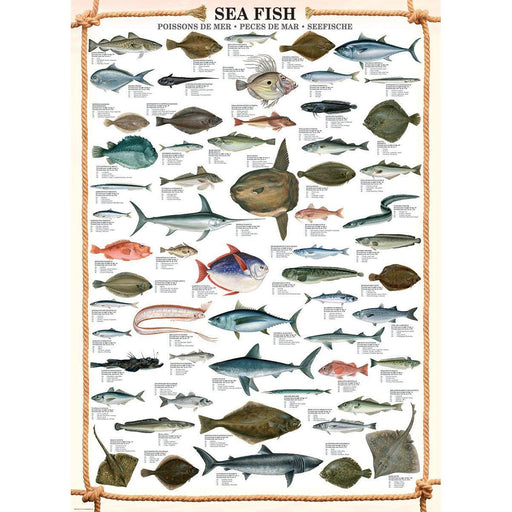 Sea Fish 1000 Piece Jigsaw Puzzle Eurographics - for just $19.99! 