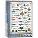 Sea Fish 1000 Piece Jigsaw Puzzle Eurographics - for just $19.99! 