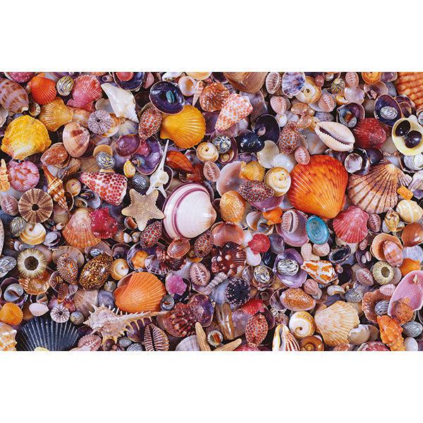 Sea Shells 1000 Piece Jigsaw Puzzle Piatnik - for just $24.99! 