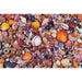 Sea Shells 1000 Piece Jigsaw Puzzle Piatnik - for just $24.99! 