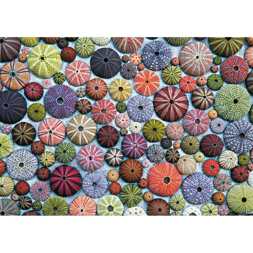 Sea Urchins 1000 Piece Jigsaw Puzzle Piatnik - for just $24.99! 