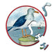 Seagull 33 Piece Mini Matchbox Jigsaw Puzzle Curiosi - for just $5.99! 