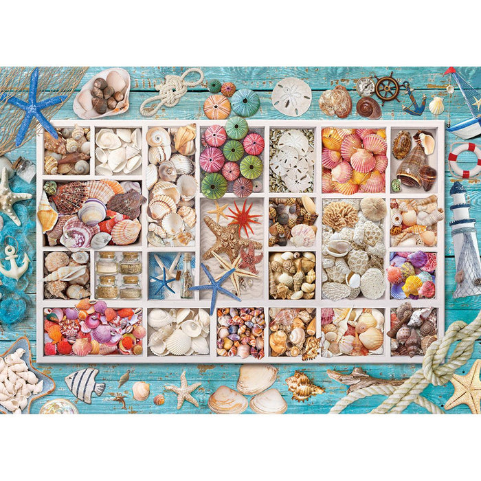 Seashell Collection 1000 Piece Jigsaw Puzzle Eurographics - for just $21.99! 
