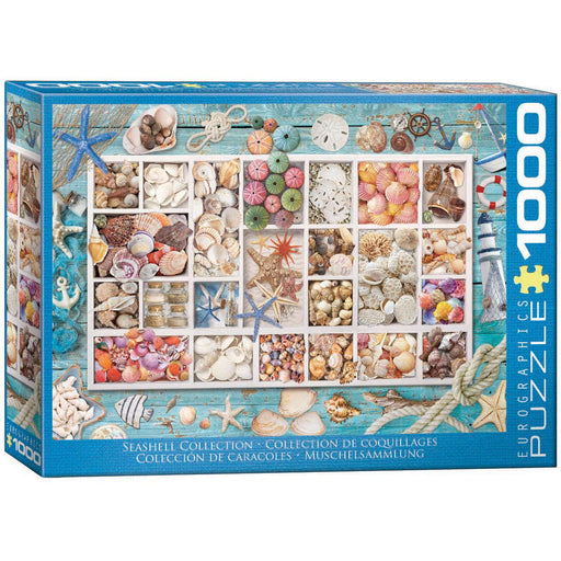 Seashell Collection 1000 Piece Jigsaw Puzzle Eurographics - for just $21.99! 
