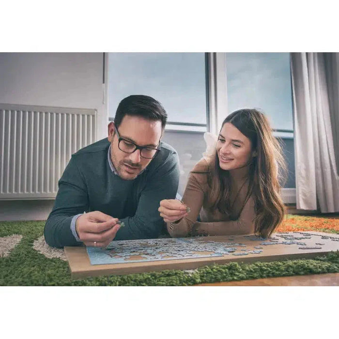 Seattle Metropuzzle 1000 Piece Jigsaw Puzzle Geotoys - for just $19.99! 