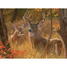 Secret Rendezvous 275 Large Piece Jigsaw Puzzle Cobble Hill - for just $17.99! 