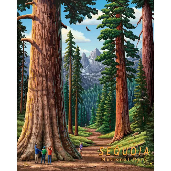 Sequoia National Park 210 Piece Jigsaw Puzzle Boardwalk - for just $11.99! 