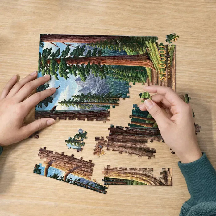 Sequoia National Park 210 Piece Jigsaw Puzzle Boardwalk - for just $11.99! 