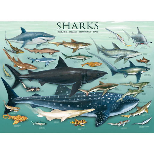 Sharks 1000 Piece Jigsaw Puzzle Eurographics - for just $21.99! 