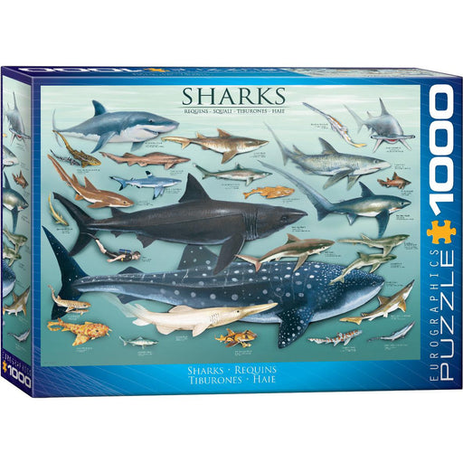 Sharks 1000 Piece Jigsaw Puzzle Eurographics - for just $21.99! 