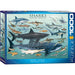 Sharks 1000 Piece Jigsaw Puzzle Eurographics - for just $21.99! 