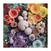 Shrooms in Blooms 500 Piece Jigsaw Puzzle Galison - for just $17.99! 
