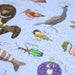 Silly Nature 1000 Piece Jigsaw Puzzle Sleazy Greetings - for just $25.99! 