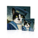 Simon - Sailor Cat 100 Piece Mini Jigsaw Puzzle NYPC - for just $14.99! 