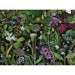 Siri's Lilac by Deb Stoner 1000 Piece Jigsaw Puzzle Pomegranate - for just $24.99! 