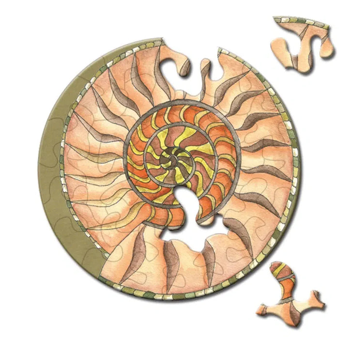 Snail 33 Piece Mini Matchbox Jigsaw Puzzle Curiosi - for just $5.99! 