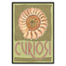 Snail 33 Piece Mini Matchbox Jigsaw Puzzle Curiosi - for just $5.99! 